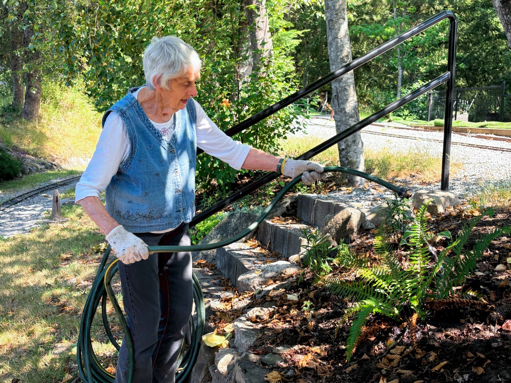A volunteer helps with watering thirst plants